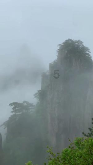 美丽海洋找不同