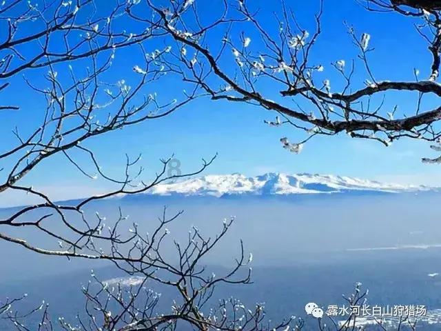 风语世界2：沉寂